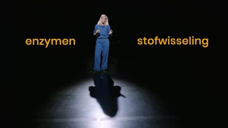 Wat is je stofwisseling?